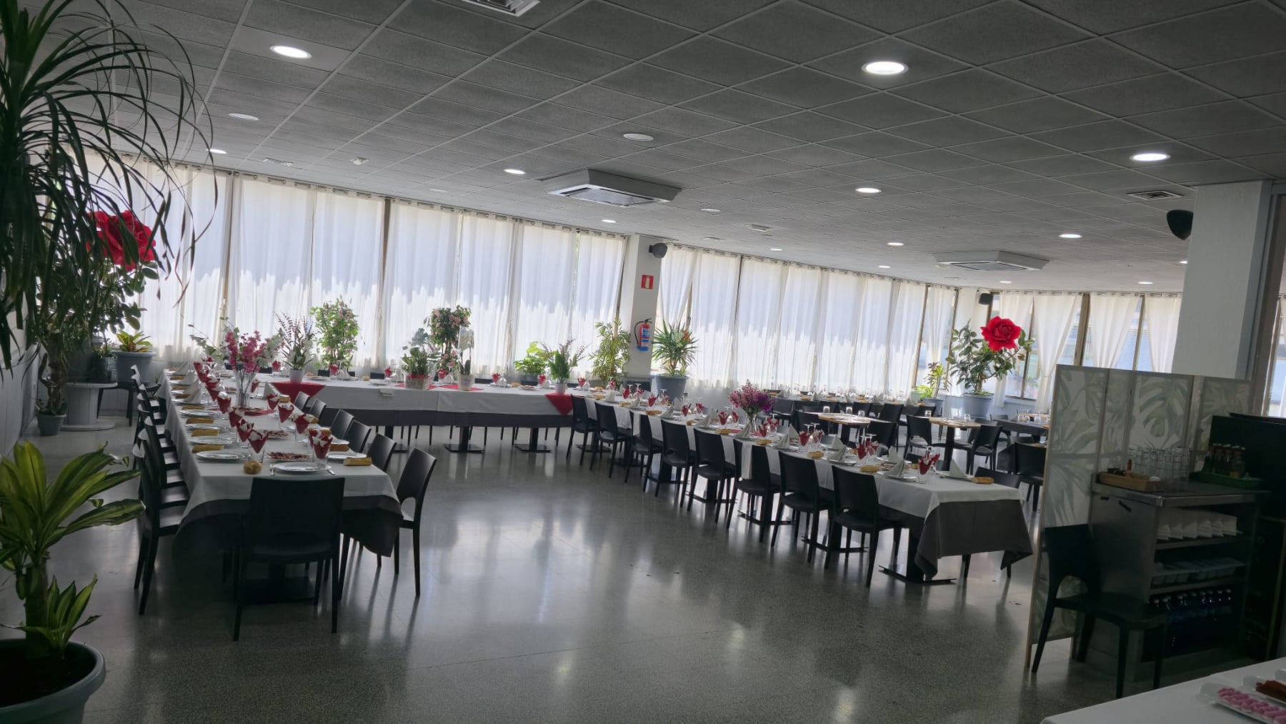 Comedor