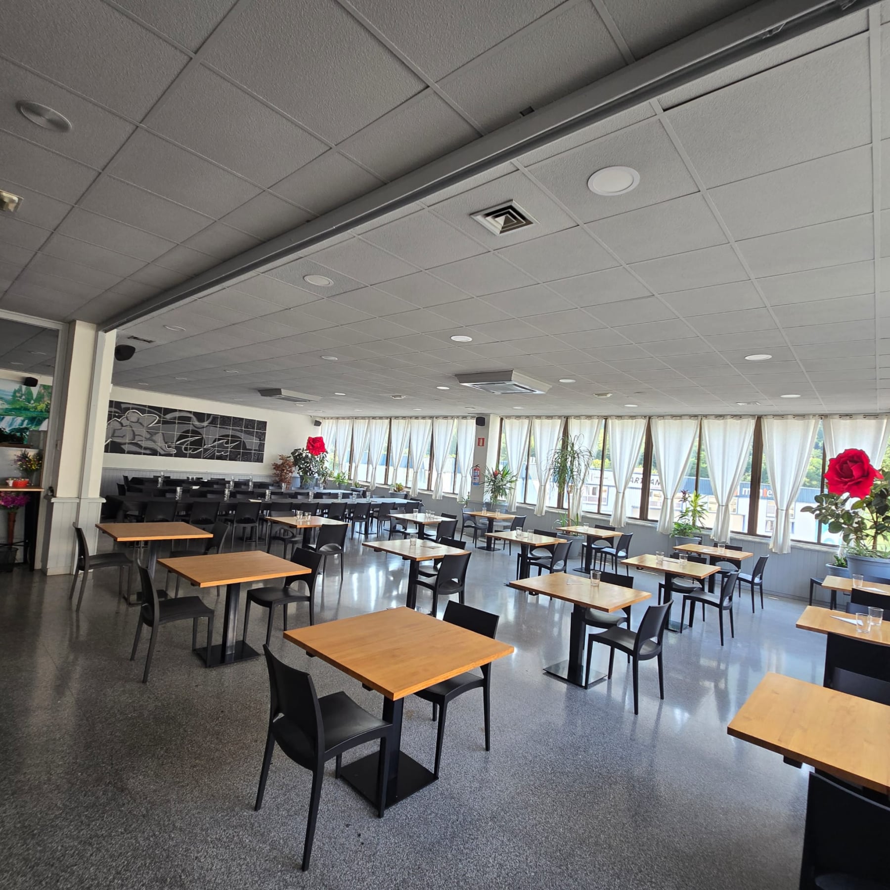 Comedor